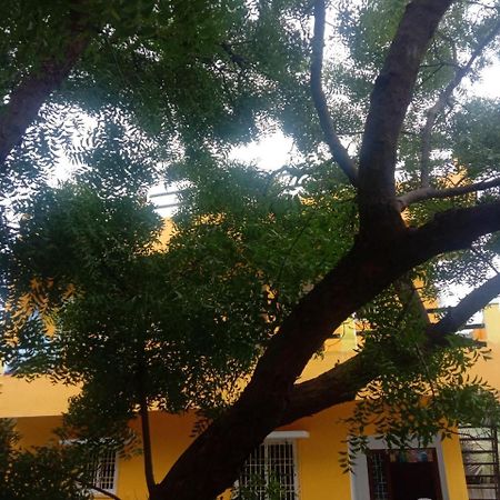Thendral Hostel Monthly Rental Pondicherry Esterno foto