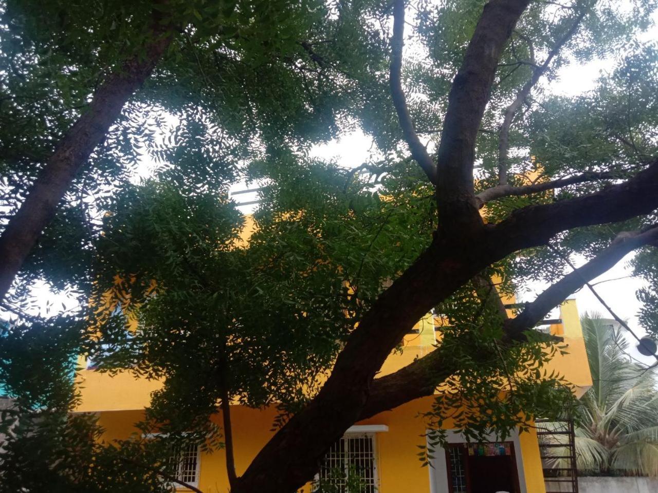 Thendral Hostel Monthly Rental Pondicherry Esterno foto